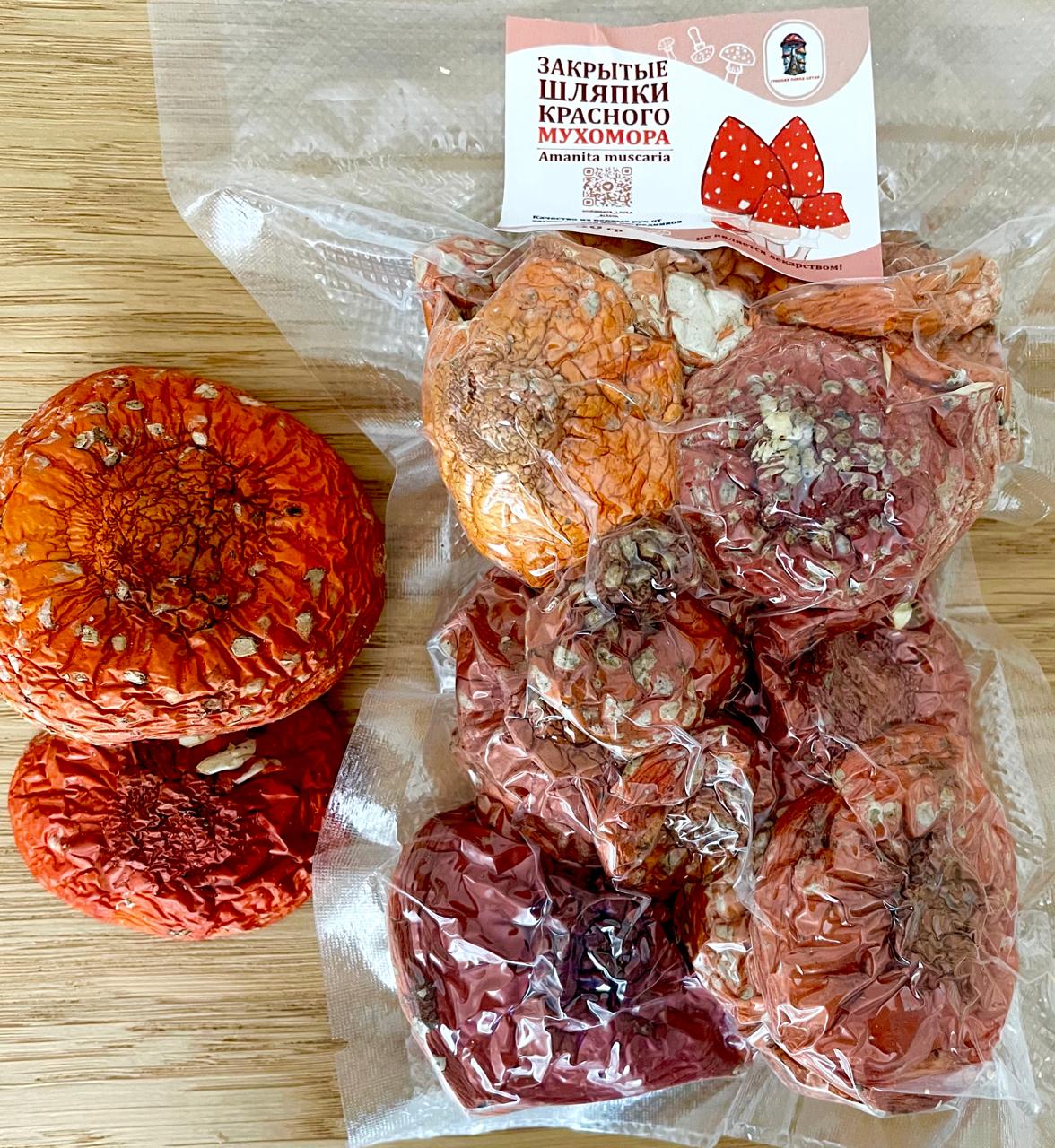 Закрытые шляпки красного мухомора