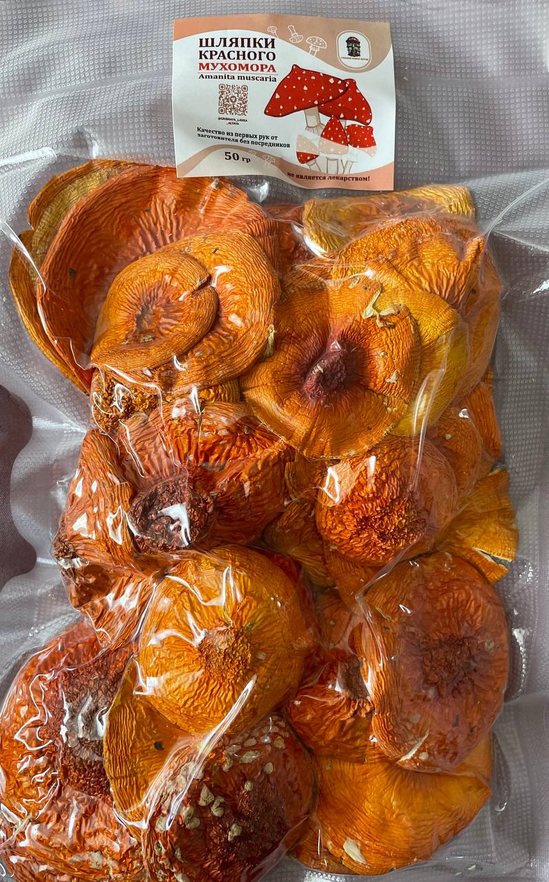 Шляпки красного мухомора