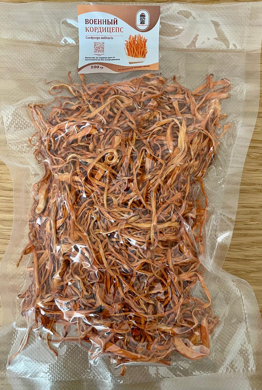 Кордицепс военный