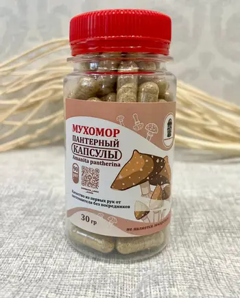Мухомор пантерный капсулированный 90 шт. 